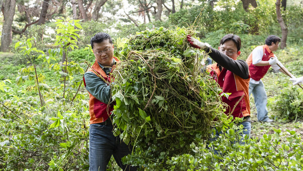 ▲지난 1일 남산공원 소래풀군락지에서 유해식물 제거 활동을 펼치고 있는 이호정 SK네트웍스 대표이사(왼쪽). ⓒSK네트웍스
