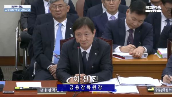 ▲이찬진 금융감독원장.