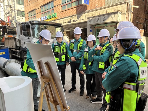 ▲도시안전건설위원회 노후 하수관로 정비 현장 실태점검 ⓒ서울시의회