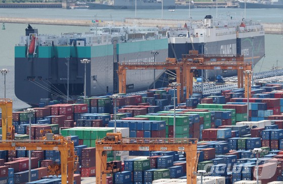 경기 평택시 포승읍 평택항에 수출용 컨테이너들이 세워져 있는 모습.