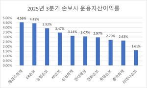 손보사 운용자산수익률 1위 메리츠...라이나 최하위 - 뉴스 썸네일 이미지
