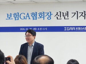 전산·보안 구축에 금보원 가입비까지...영세 GA 구조조정·합병 압박 커... - 뉴스 썸네일 이미지