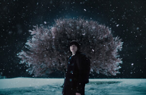 [심우진의 리뷰] '초속 5센티미터', 아름다운 잔향 남기는 작품 - 뉴스 썸네일 이미지