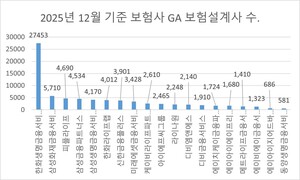 보험사 GA 자회사 설계사 1년 새 1.2만여명 급증...한화 '고공행진' - 뉴스 썸네일 이미지