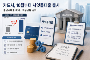 카드사 1분기 중금리대출 1조 늘려...10월 사잇돌대출 출시가 실적에 미... - 뉴스 썸네일 이미지